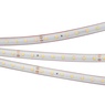 Лента светодиодная RTW 2-5000PS 24V Warm2700 (2835, 80 LED/m, LUX) (Arlight, 6 Вт/м, IP67)
