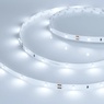 Лента светодиодная RT 2-5000 24V White6000 0.5x (3528, 150 LED, LUX) (Arlight, 2.9 Вт/м, IP20)